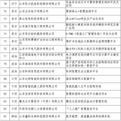 日照5家企業(yè)入選省級重點項目名單，引領網(wǎng)絡與信息安全軟件開發(fā)新浪潮